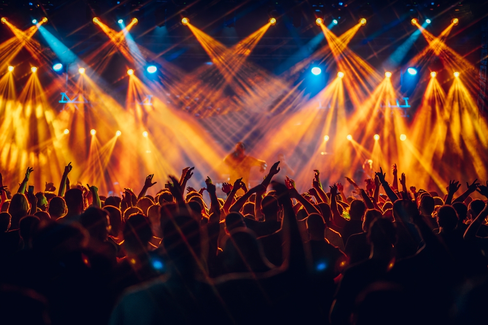 Pessoas em um show de música