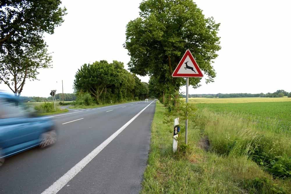 Estrada sinalizada com placa de animais na pista, enquanto passa um carro em alta velocidade