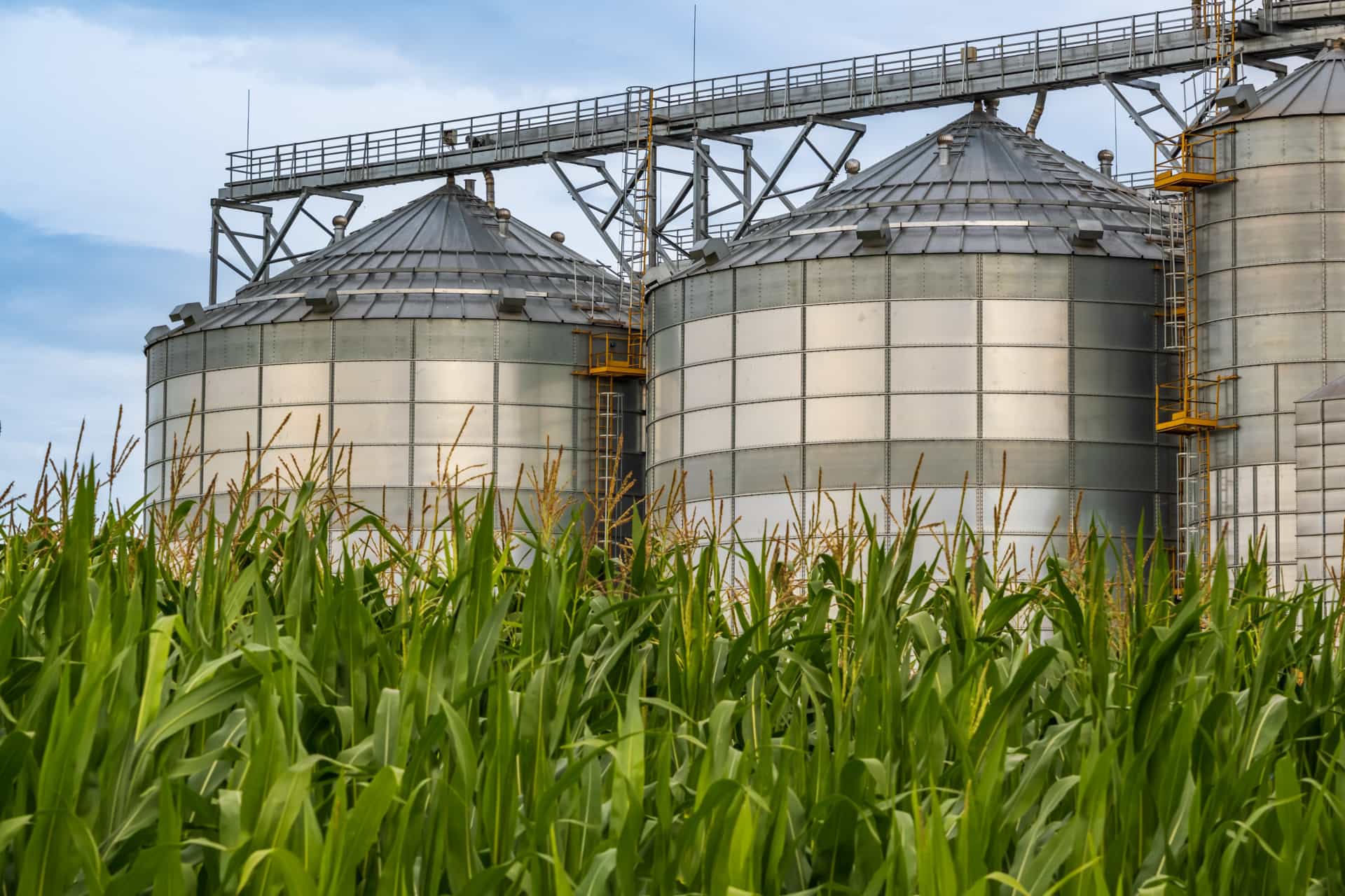 Silo em plantação