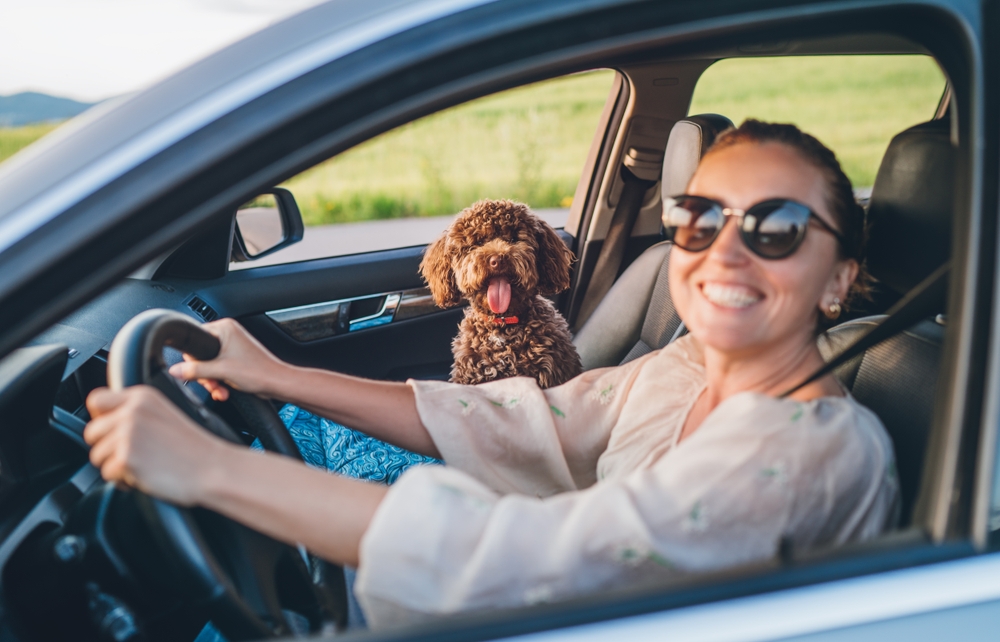 Mulher sorridente dirigindo seu carro com seu cachorro no banco do passageiro.