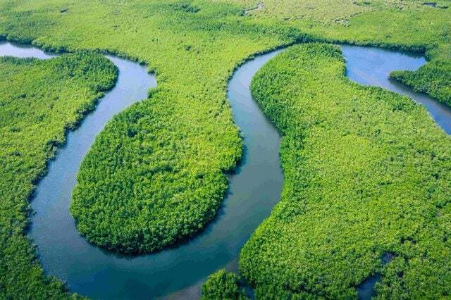 Vista aérea da floresta amazônica