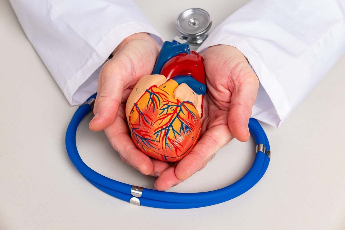 Médico segurando um coração artificial