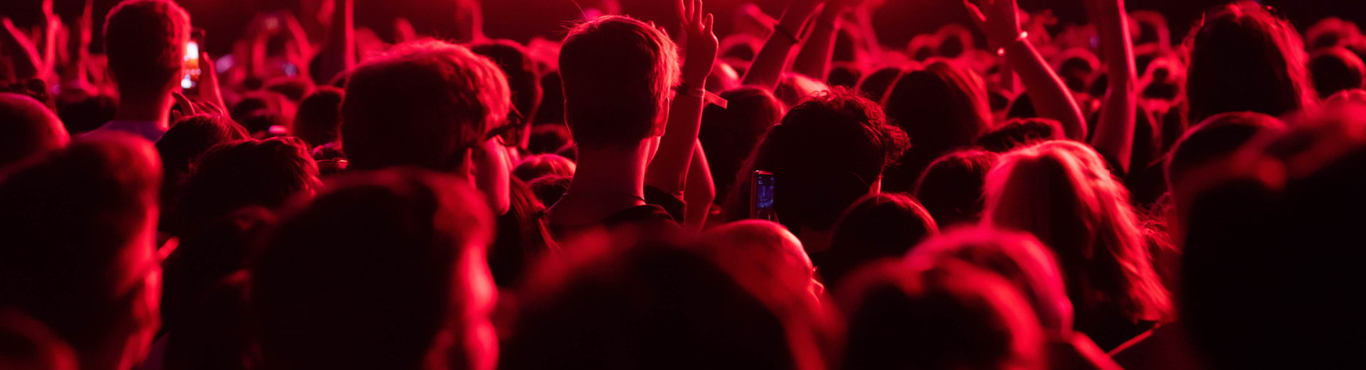 Pessoas curtindo um show no Allianz Parque