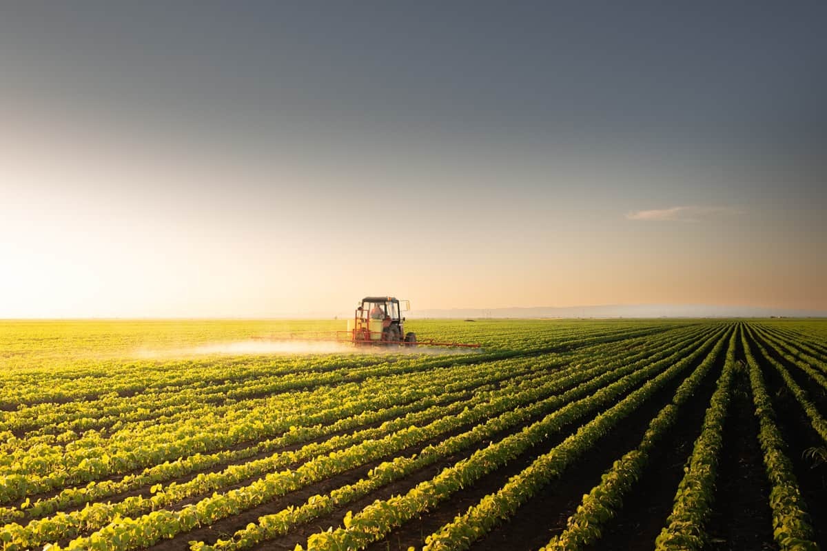 Trator em uma plantação de soja  