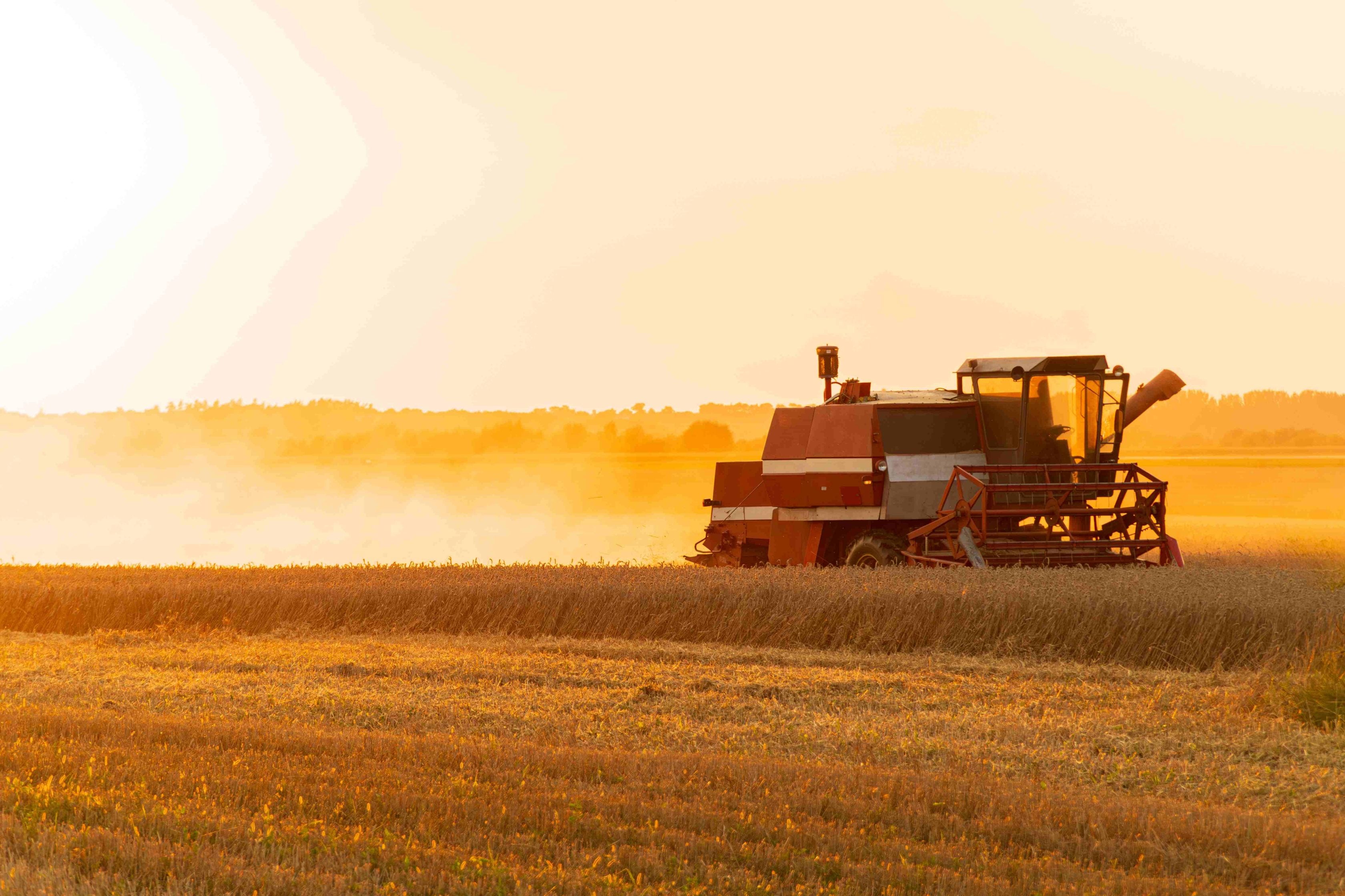 Máquina agrícola em campo de plantação