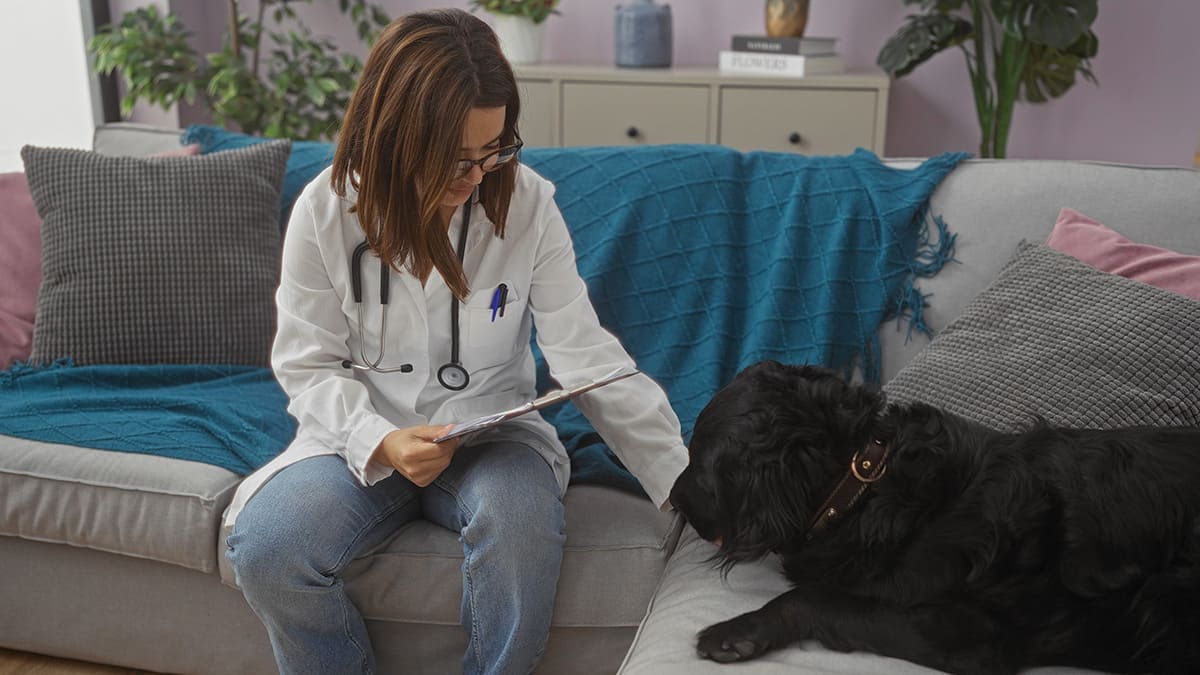 Veterinária realizando consulta domiciliar