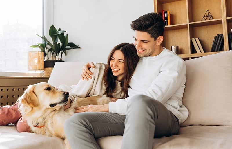 Casal feliz com cachorro no sofá da sala de casa