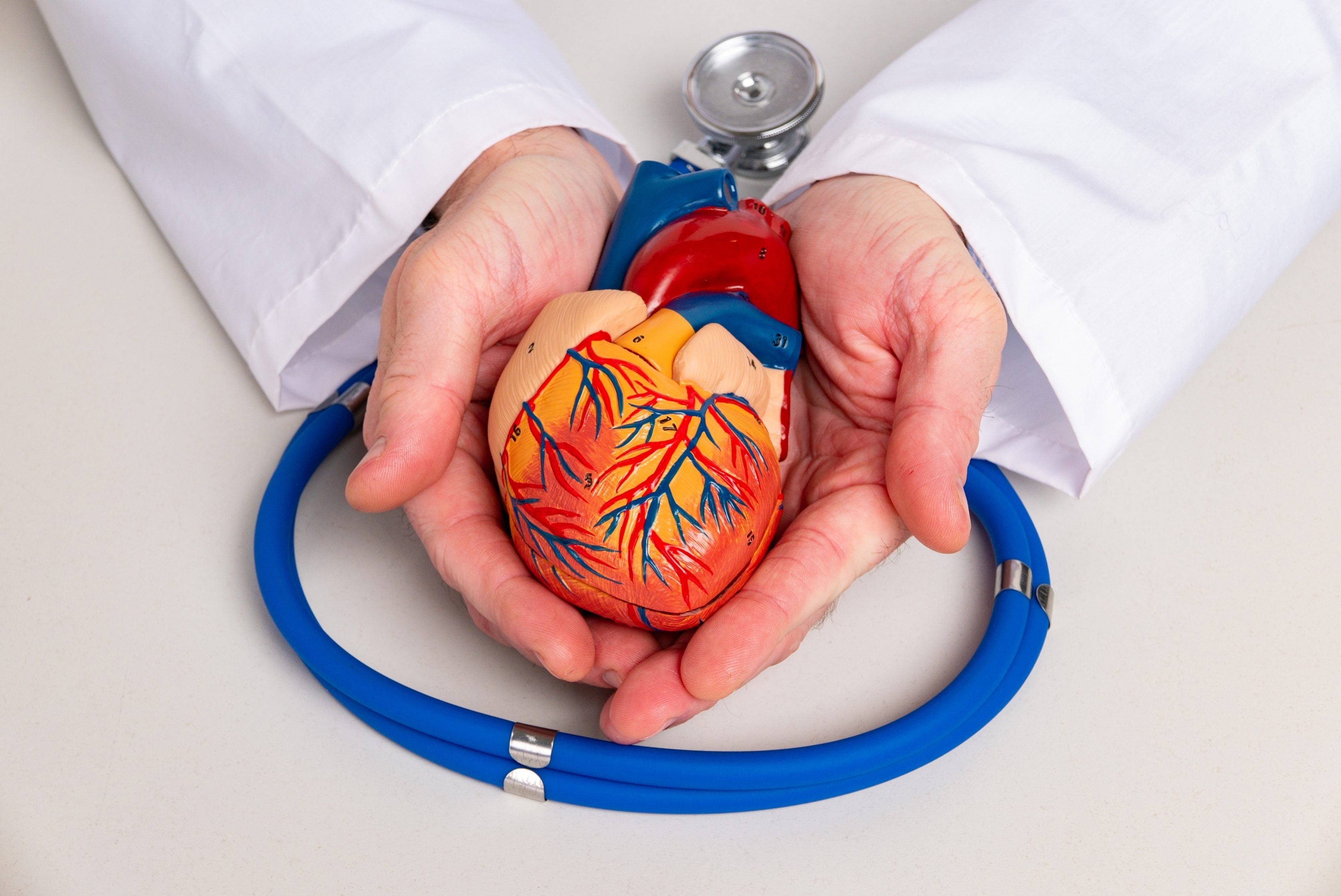 O que é Doença cardiovascular e como você pode se prevenir