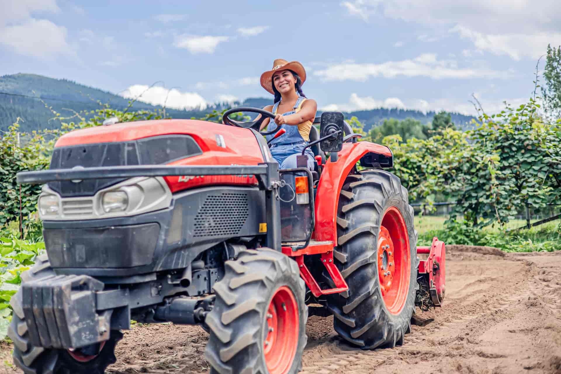 Rotação de Culturas: a técnica sustentável que protege o solo e reduz riscos na produção rural