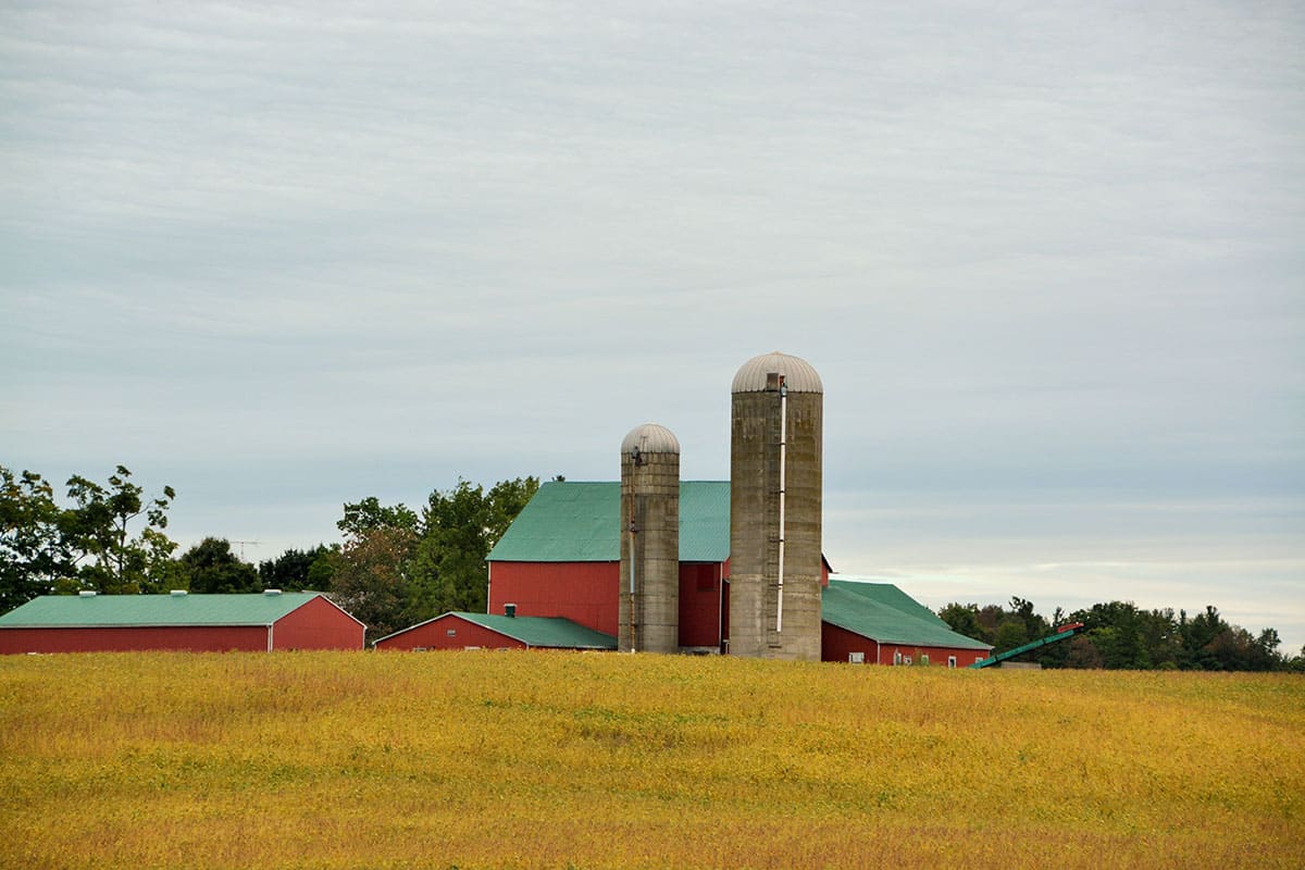 Propriedade rural