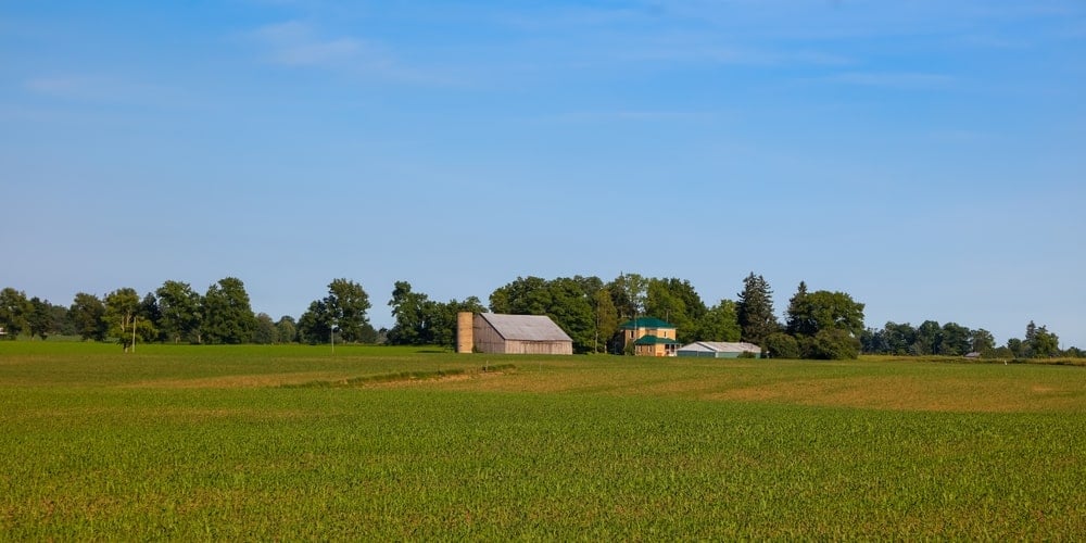 Imagem de uma propriedade rural extensa
