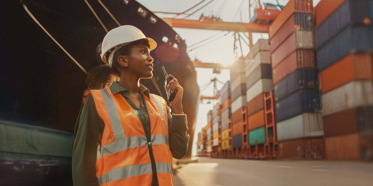 Seguro de Importação de Carga Allianz