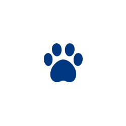Pacote de Serviços Pet (cães e gatos)