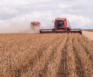 Imagem e maquinário agrícolas na lavoura para ilustrar a parte de que fala do cultivo dentro da seção Agronegócio