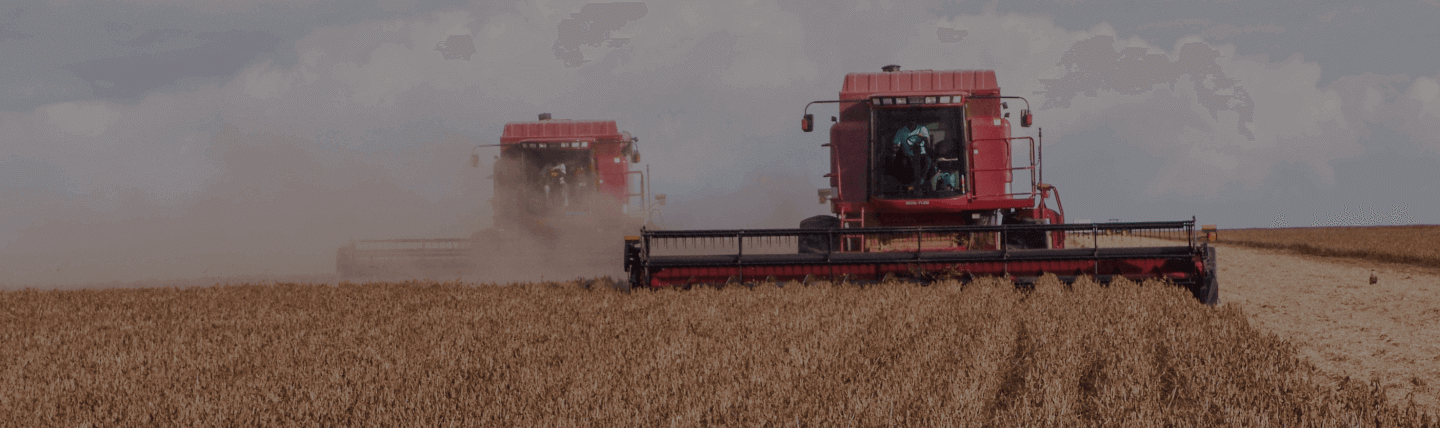 Imagem de máquinas agrícolas trabalhando para ilustrar o programa Allanz Cultivo